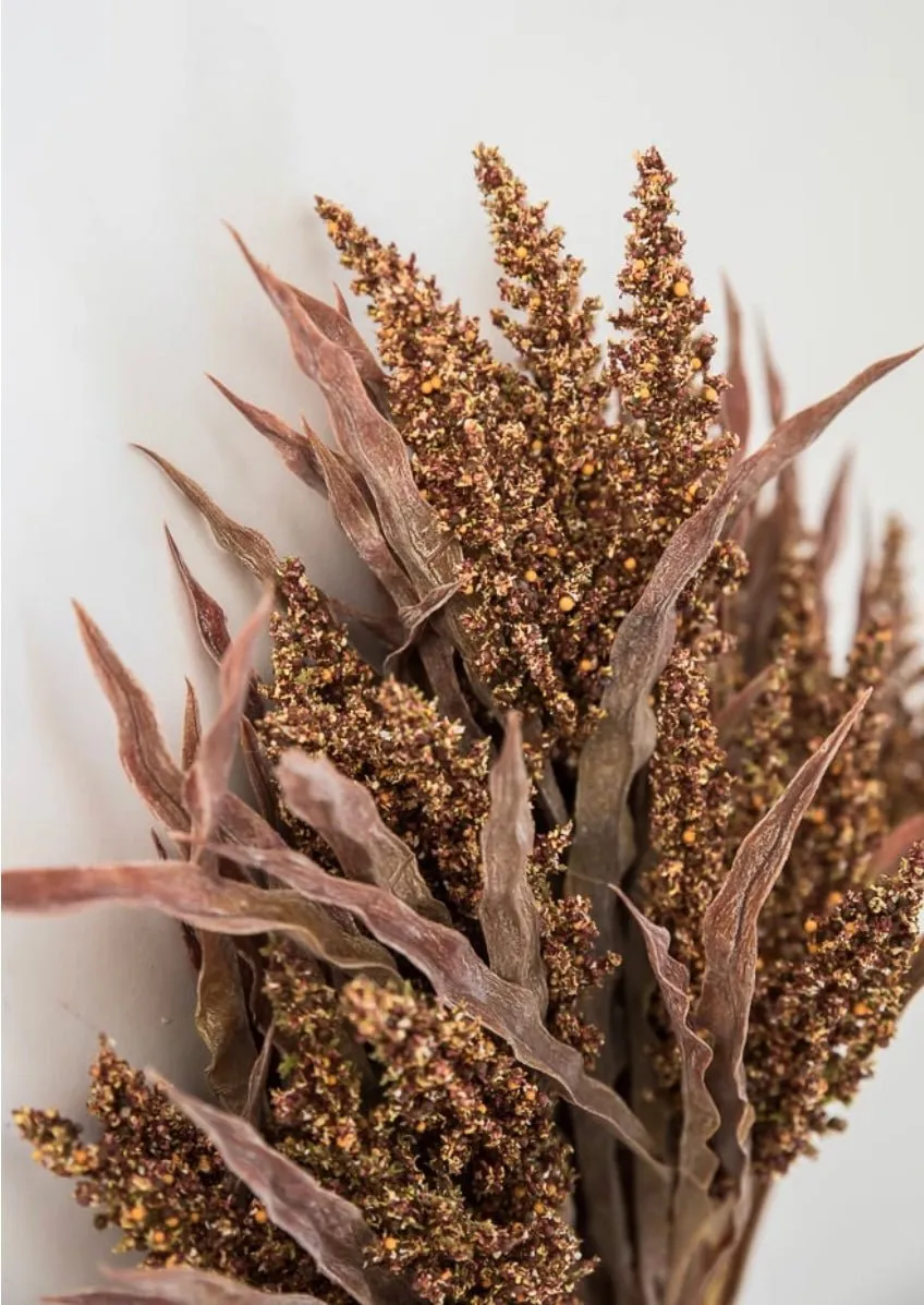 Astilbe wheat grass bush - rusty brown