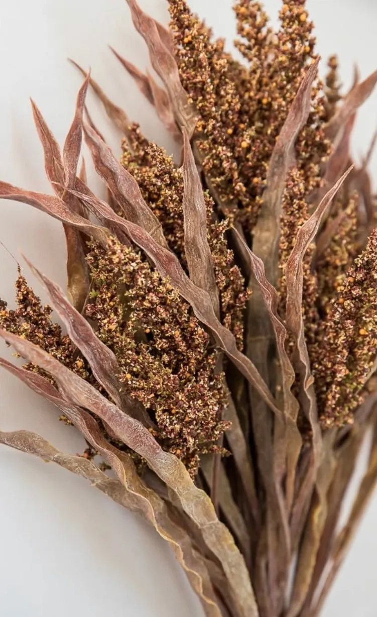 Astilbe wheat grass bush - rusty brown