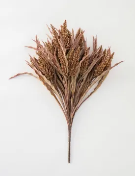 Astilbe wheat grass bush - rusty brown