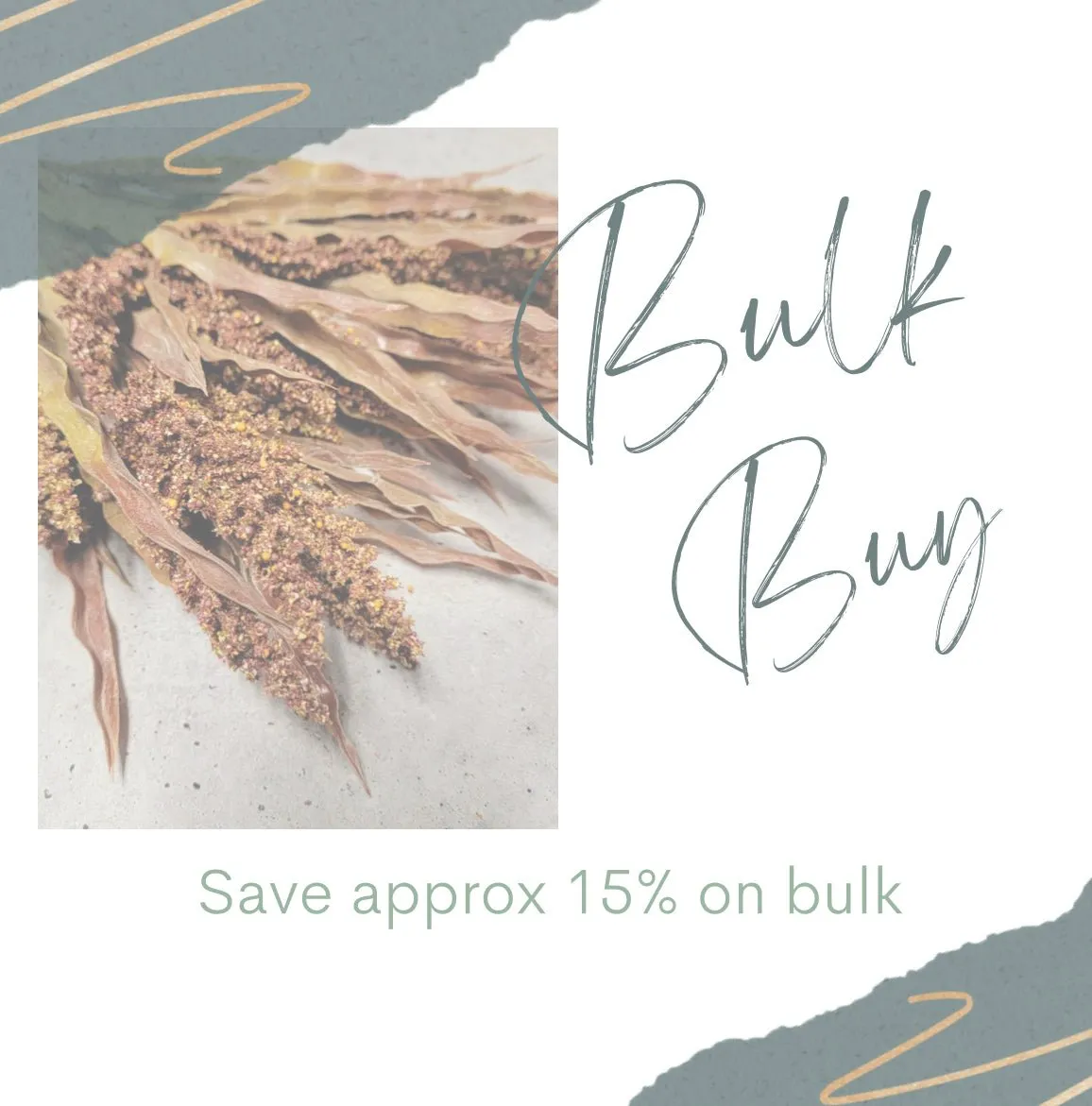 Astilbe wheat grass bush - rusty brown