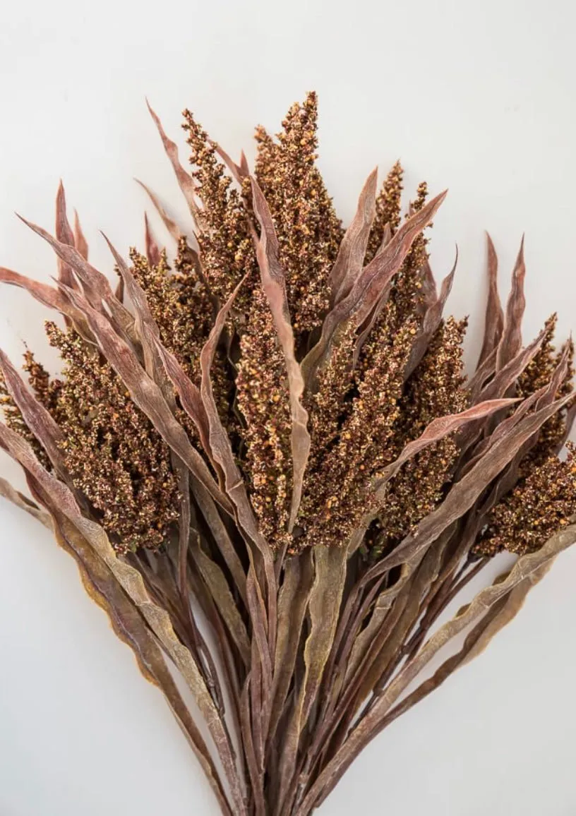 Astilbe wheat grass bush - rusty brown