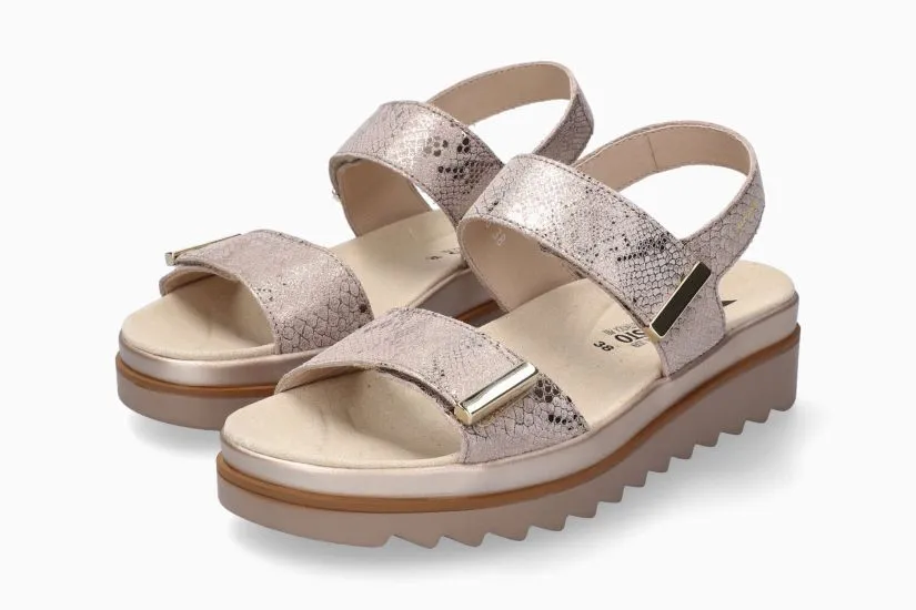 Dominica - Light Taupe BOA 3318