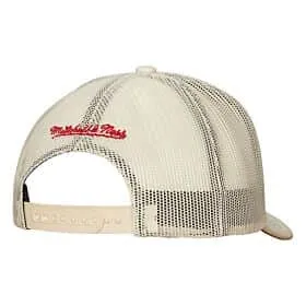 Mitchell & Ness Evergreen Trucker Snapback Coop Boston Red Sox