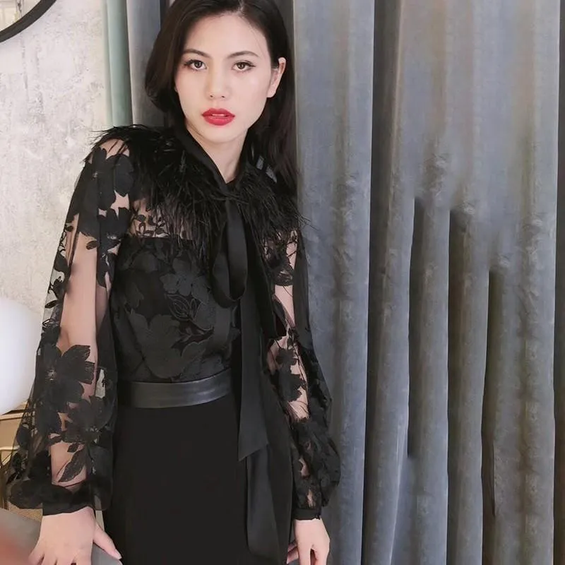 Patchwork Feathers Lace Up Lantern Sleeve Perspective Print Blouse