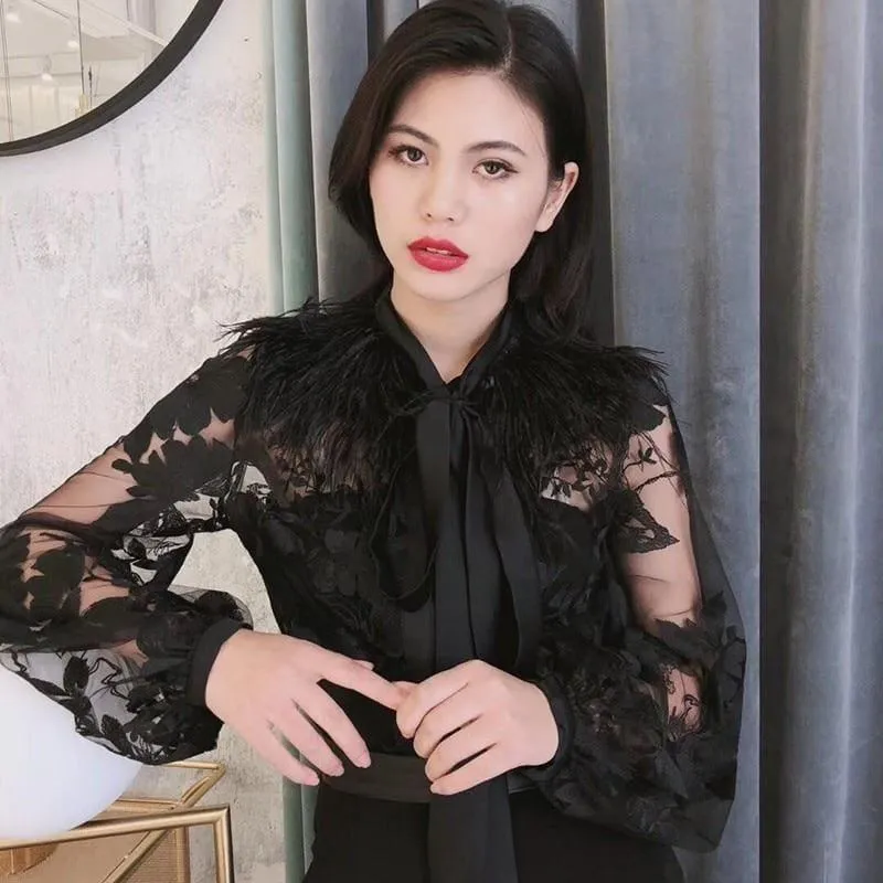 Patchwork Feathers Lace Up Lantern Sleeve Perspective Print Blouse
